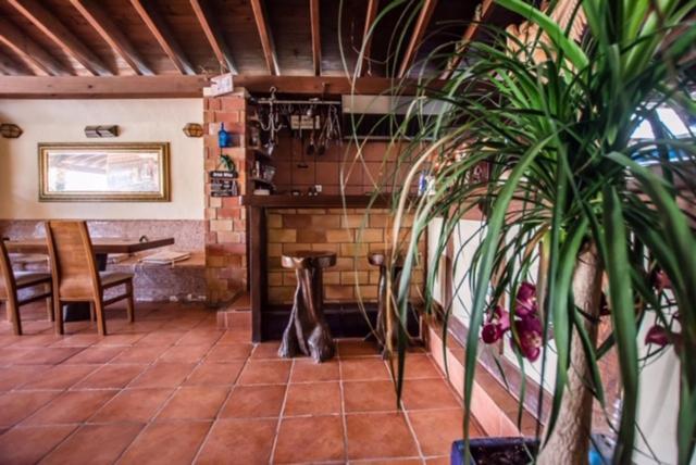 El Cortijo Escana Es Cana エクステリア 写真